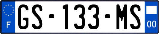 GS-133-MS