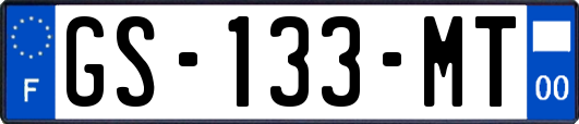 GS-133-MT