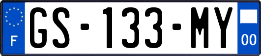 GS-133-MY