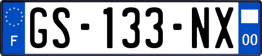 GS-133-NX
