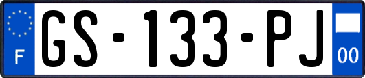 GS-133-PJ