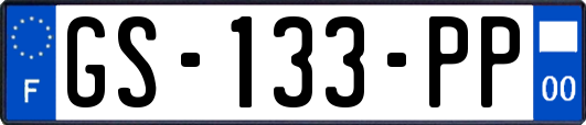 GS-133-PP