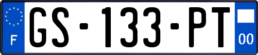 GS-133-PT