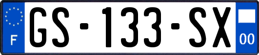 GS-133-SX