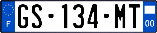 GS-134-MT