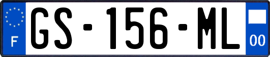 GS-156-ML