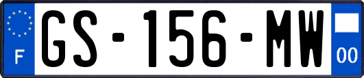 GS-156-MW