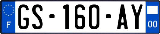 GS-160-AY