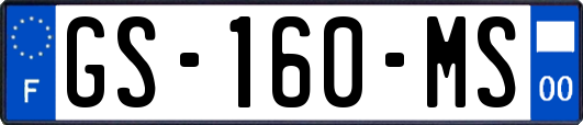 GS-160-MS