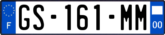 GS-161-MM