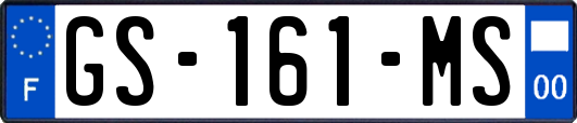 GS-161-MS