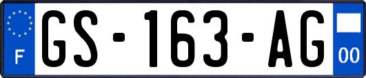 GS-163-AG