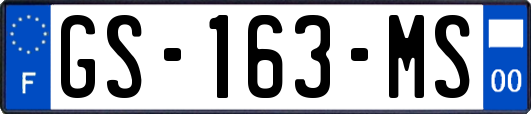 GS-163-MS