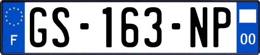 GS-163-NP