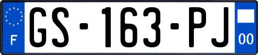 GS-163-PJ