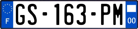 GS-163-PM