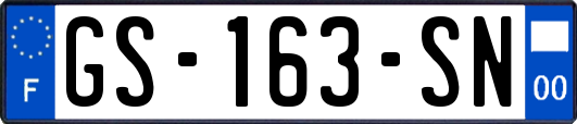 GS-163-SN