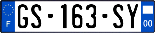 GS-163-SY