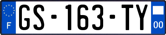 GS-163-TY
