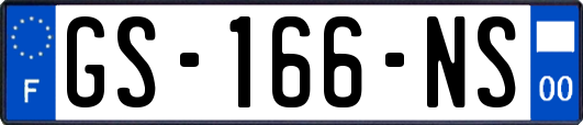 GS-166-NS