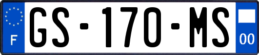 GS-170-MS