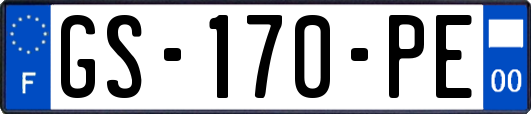 GS-170-PE