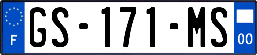 GS-171-MS