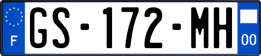 GS-172-MH