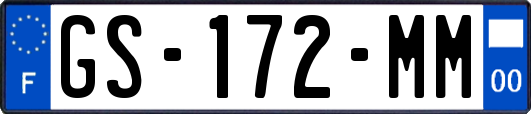GS-172-MM