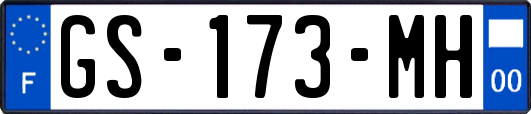 GS-173-MH