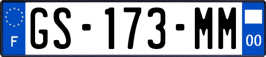 GS-173-MM