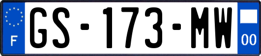 GS-173-MW