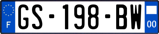 GS-198-BW