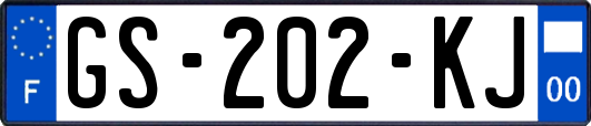 GS-202-KJ