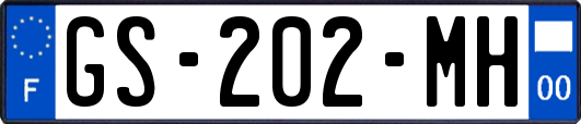 GS-202-MH