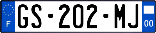 GS-202-MJ