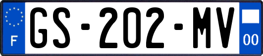 GS-202-MV