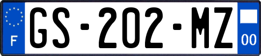 GS-202-MZ