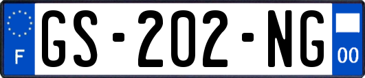 GS-202-NG