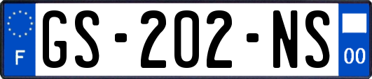 GS-202-NS