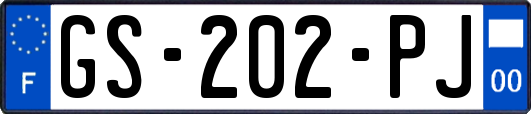 GS-202-PJ