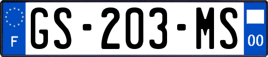 GS-203-MS