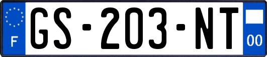 GS-203-NT