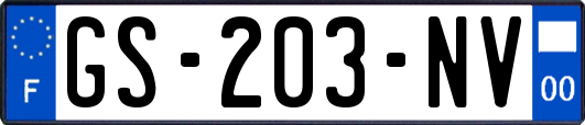GS-203-NV