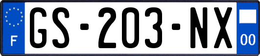 GS-203-NX