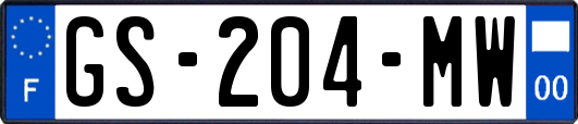 GS-204-MW