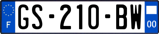 GS-210-BW