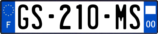 GS-210-MS
