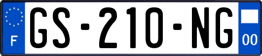 GS-210-NG