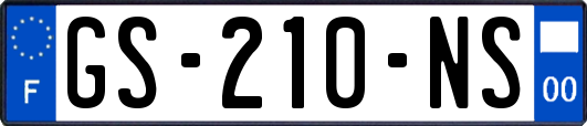 GS-210-NS